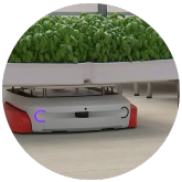jobBox